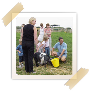 1SQ partyanimalfeeding